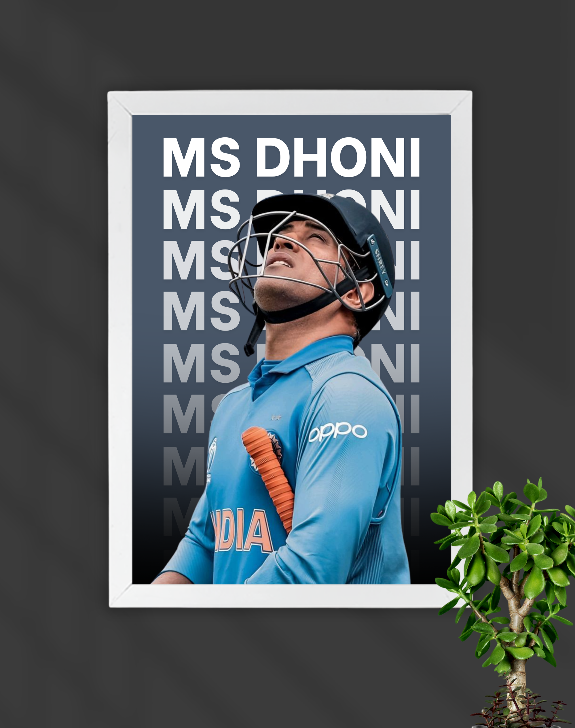 MS Dhoni | Cricket Frame