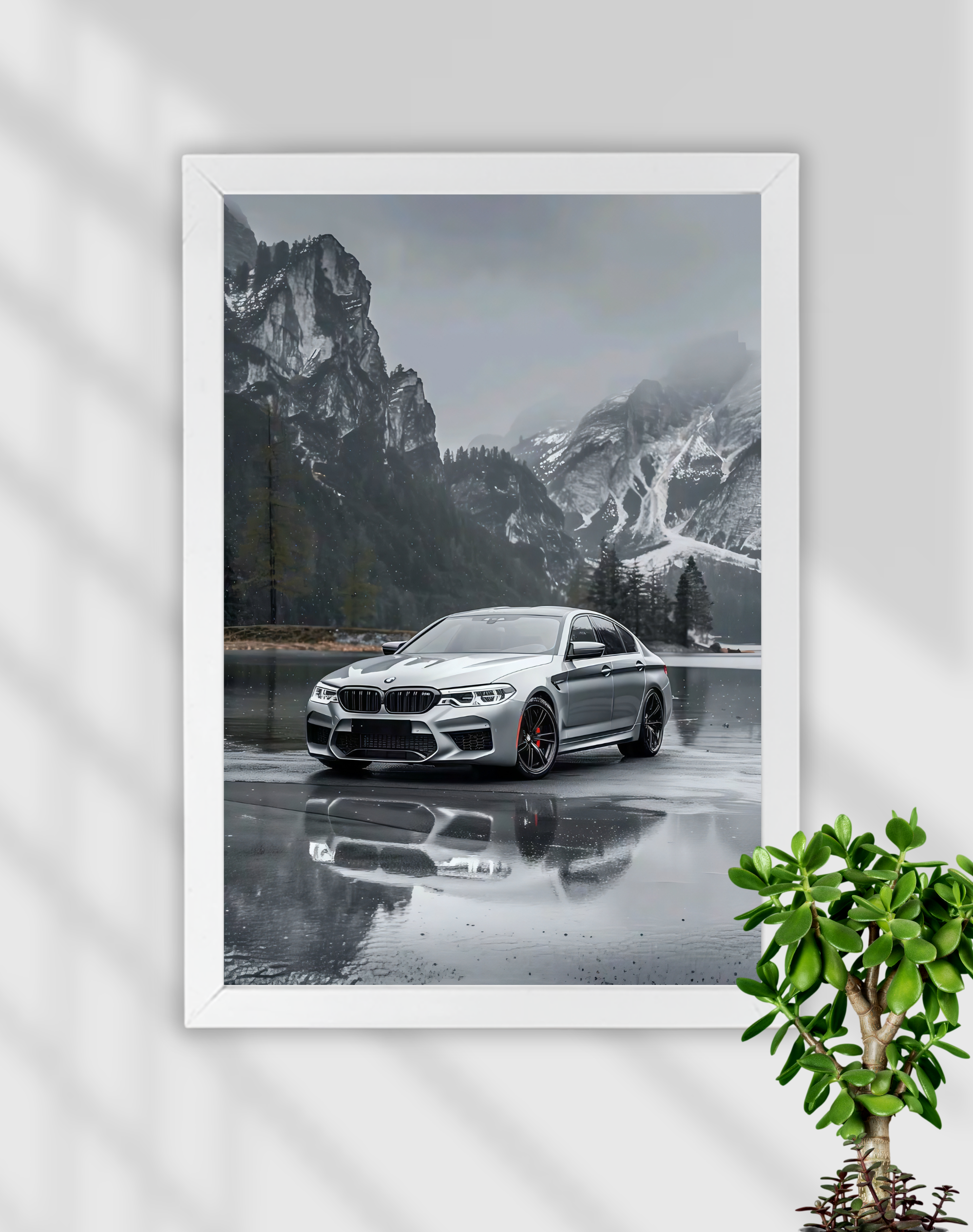 BMW M5 | SOLID CARS | CAR FRAME